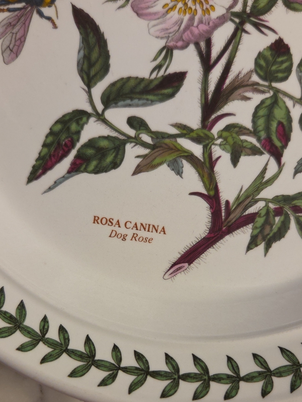 Vintage Portmeirion The Botanic Garden Floral Salad Plates 1972 | Britian Set 4 - Picture 11 of 13